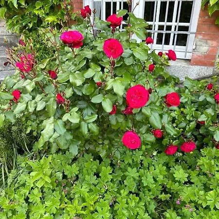 Manoir Charme Baie Mont St Michel
