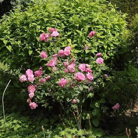 Manoir Charme Baie Mont St Michel