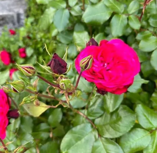 Дом отдыха Manoir Charme Baie Mont St Michel