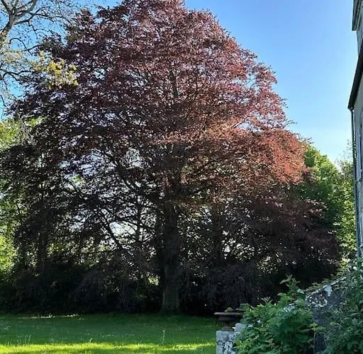 Manoir Charme Baie Mont St Michel * Sartilly-Baie-Bocage