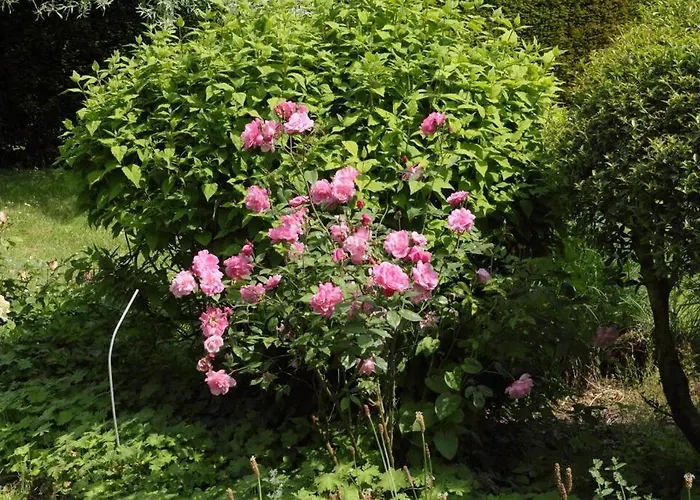 Manoir Charme Baie Mont St Michel